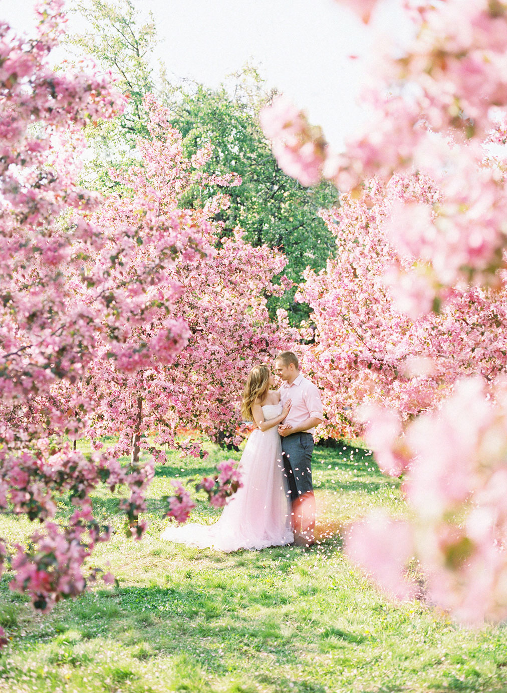 Julia Kaptelova photography spring, pre-wedding, pink, moscow, engagement, blossom